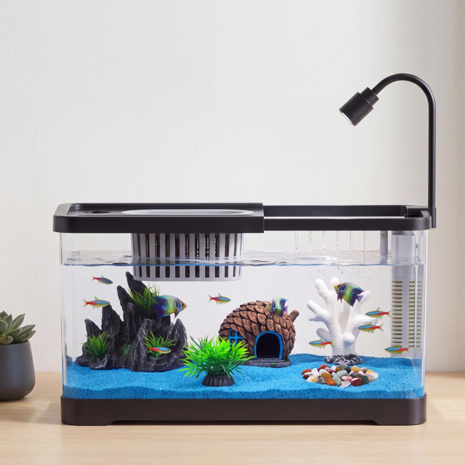 Aquarium Fish Goldfish - Fish Tank Starter Kit With Filter
