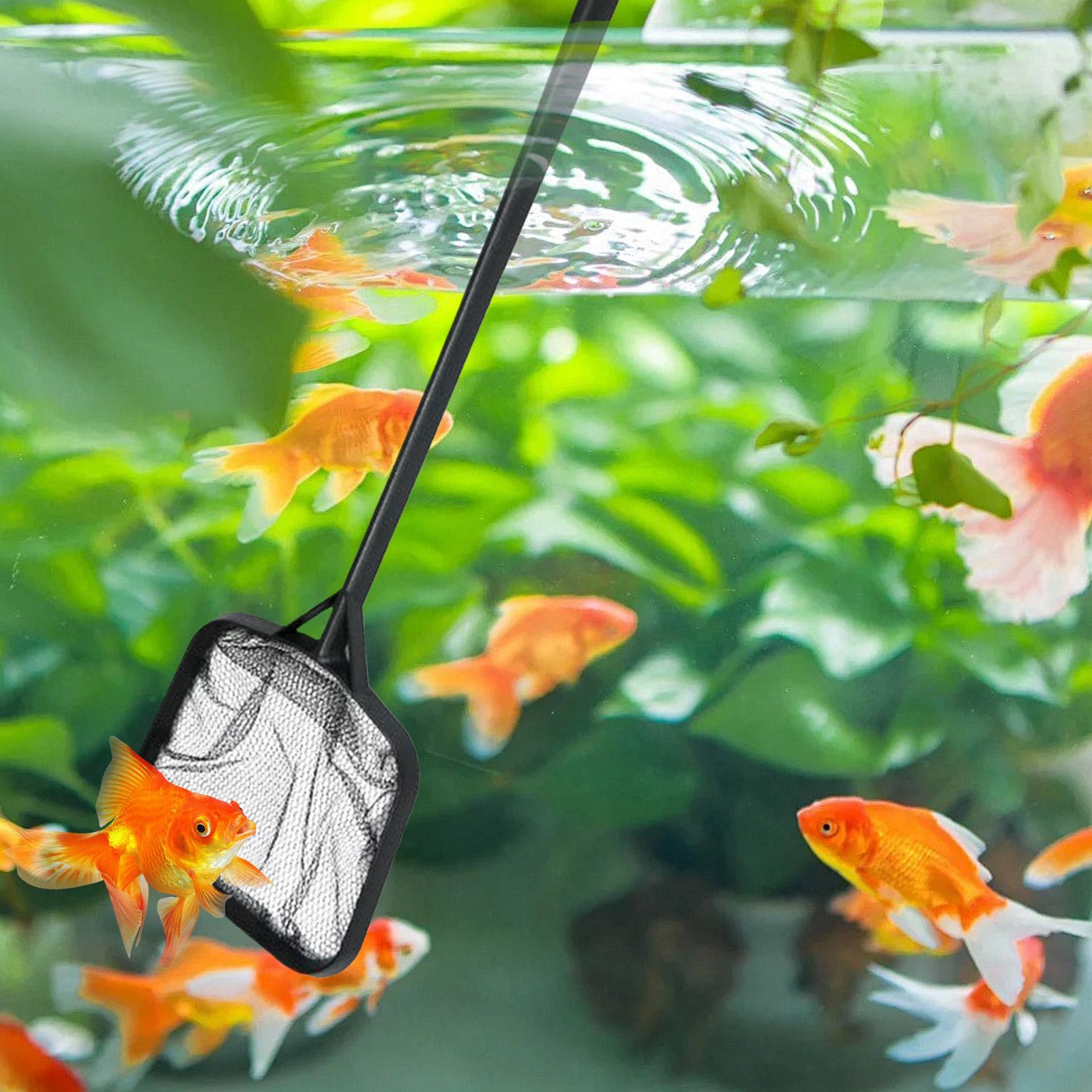 Pool Nets for Cleaning Portabl - Aquarium Fish Items review and price