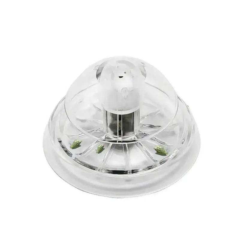 2026 New 6/8CM Clear Plastic S - Aquarium Fish Items review and price