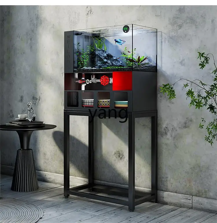 Lhh living room small fish tan - Aquarium Fish Goldfish review and price