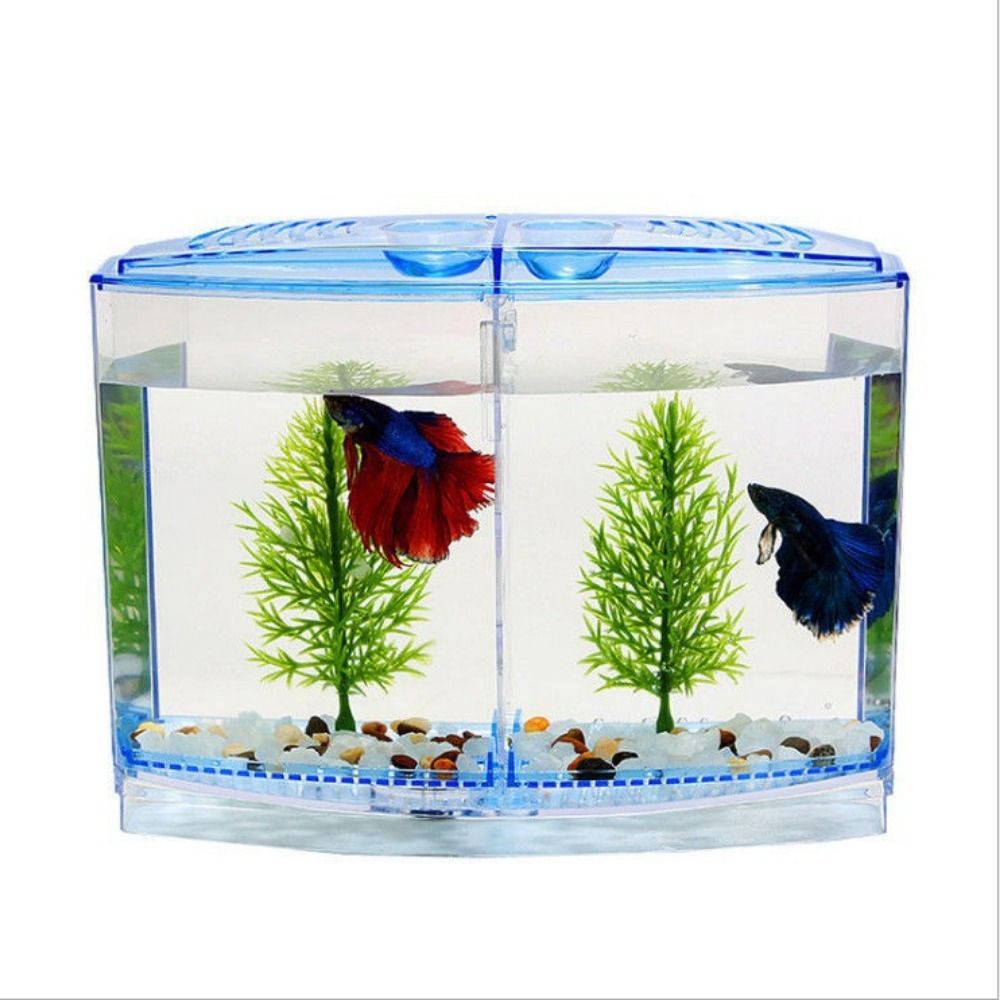 Transparent Betta Fish Tank, D - Aquarium Fish Cave review and price
