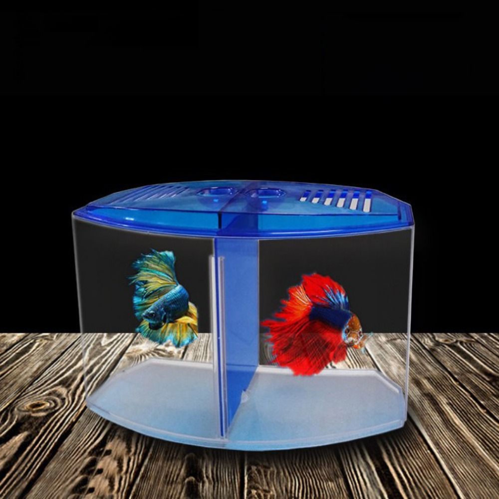 Transparent Betta Fish Tank, D - Aquarium Fish Cave review and price