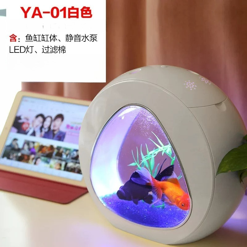 Fish Tank, Aquarium, Living Ro - Aquarium Fish Goldfish review and price