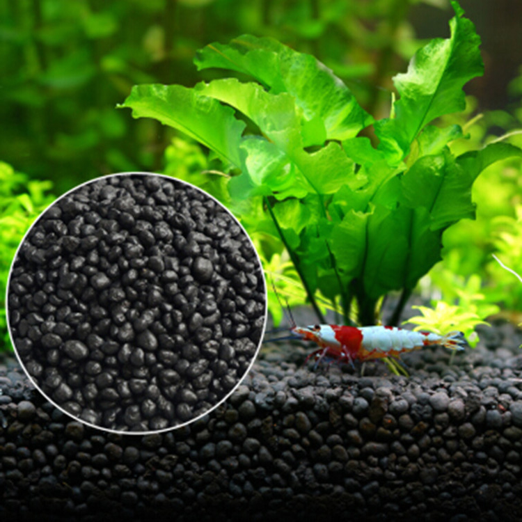 Aquarium Plant Seeds Soil Fish - Aquarium Fish Items review and price