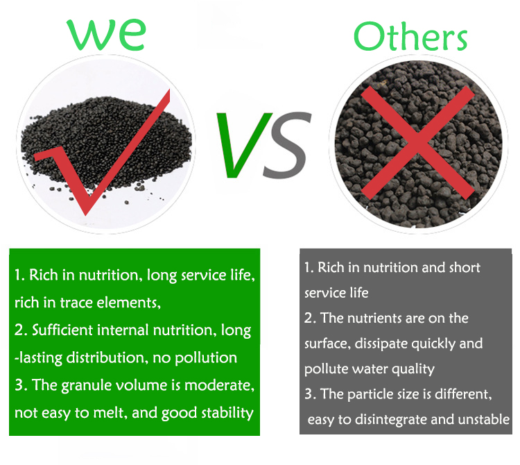 Aquarium Plant Seeds Soil Fish - Aquarium Fish Items review and price