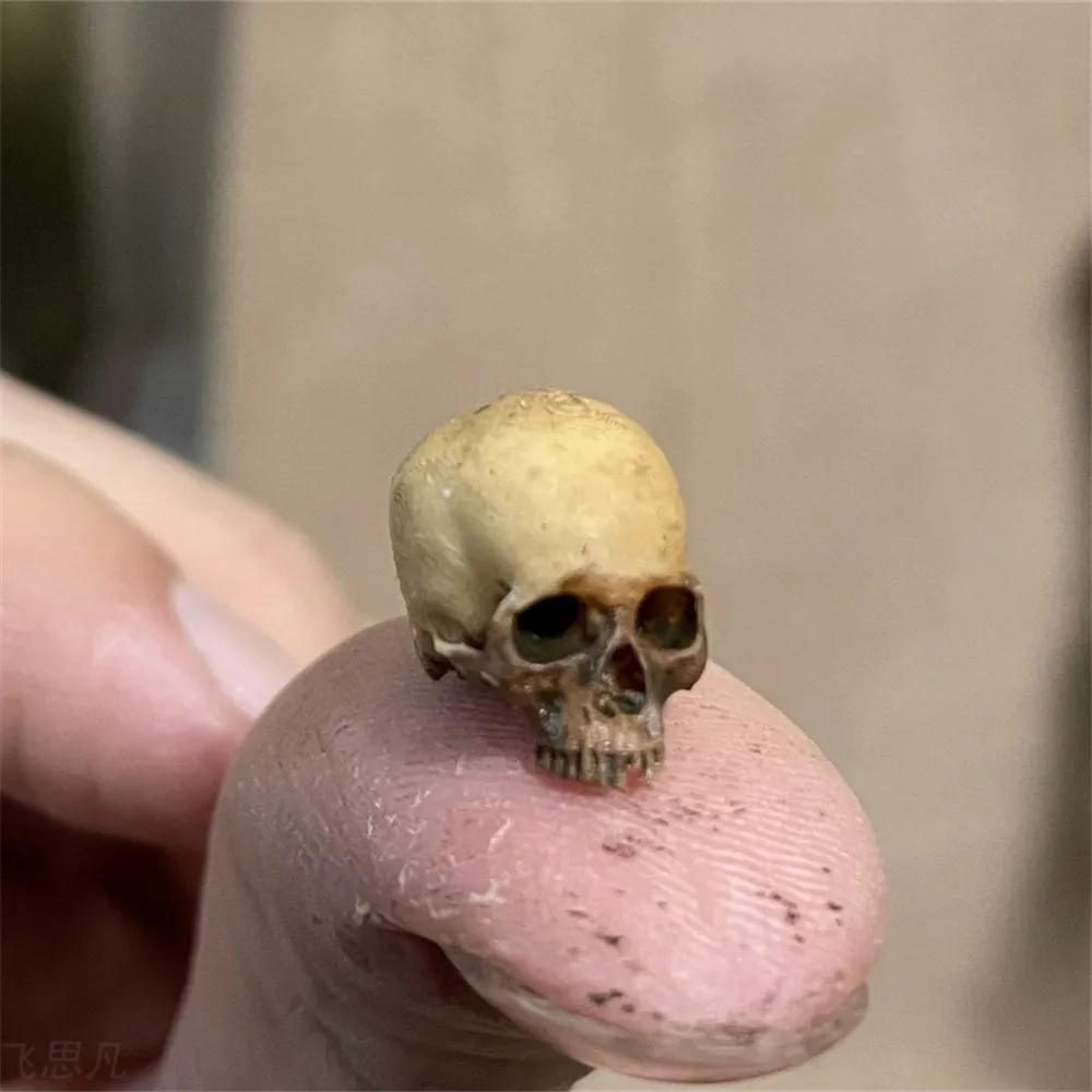 Mini Skull High Quality Miniat - Aquarium Fish Items review and price