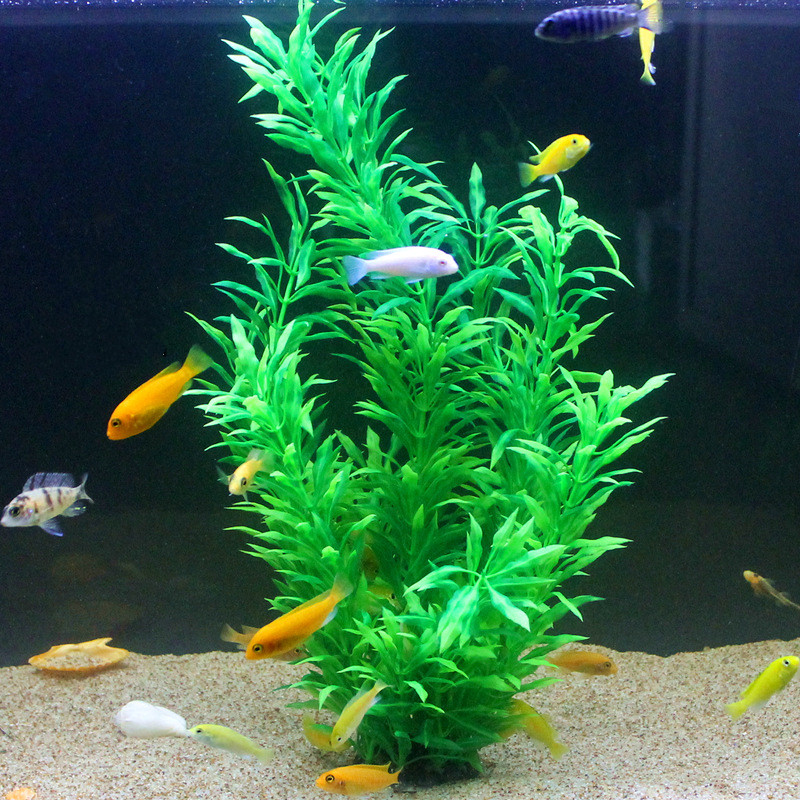 50CM Artificial Fish Tank Rare - Aquarium Fish Items review and price