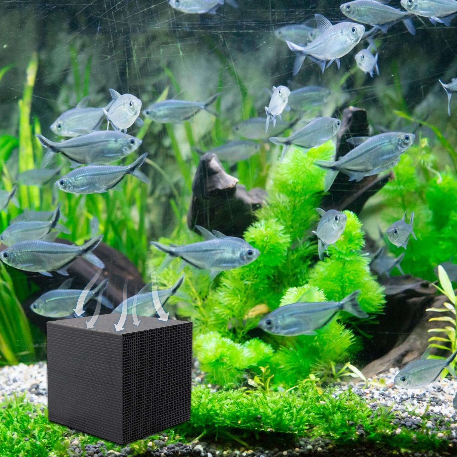 Aquarium Water Purifier Cube U - Aquarium Fish Cave review and price
