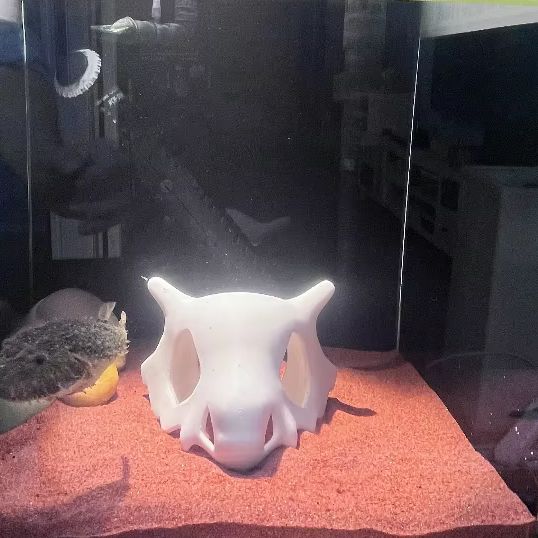 3D Printed FIsh Shrimp Reptile - Aquarium Fish Cave review and price